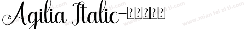 Agilia Italic字体转换